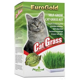 EURO GOLD CAT GRASS KEDİ ÇİMİ8681144140016